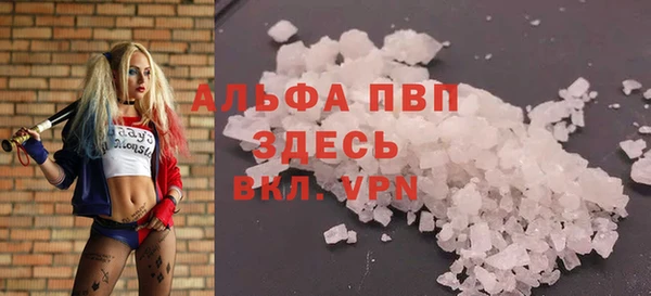 индика Алексин