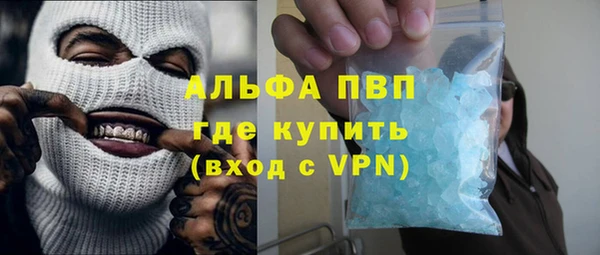 индика Алексин