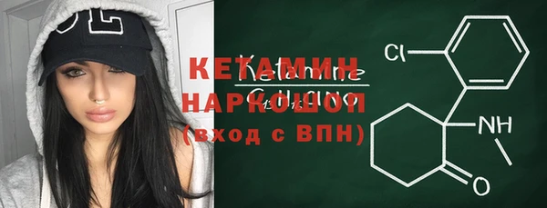индика Алексин