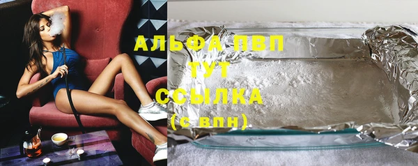 индика Алексин