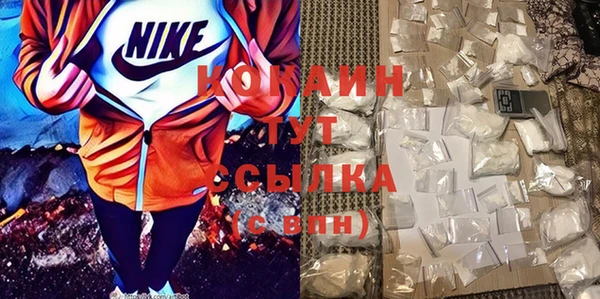 индика Алексин