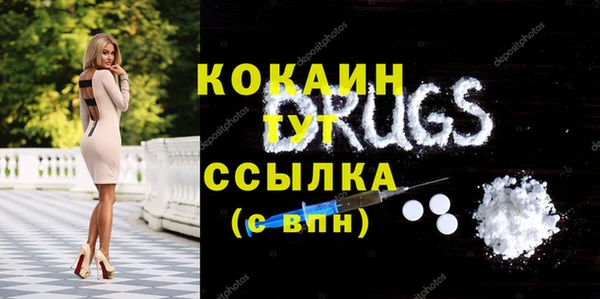 индика Алексин