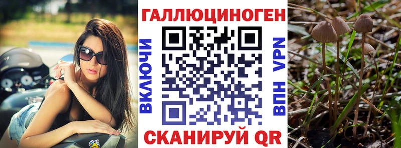 Псилоцибиновые грибы GOLDEN TEACHER  дарнет шоп  Амурск 
