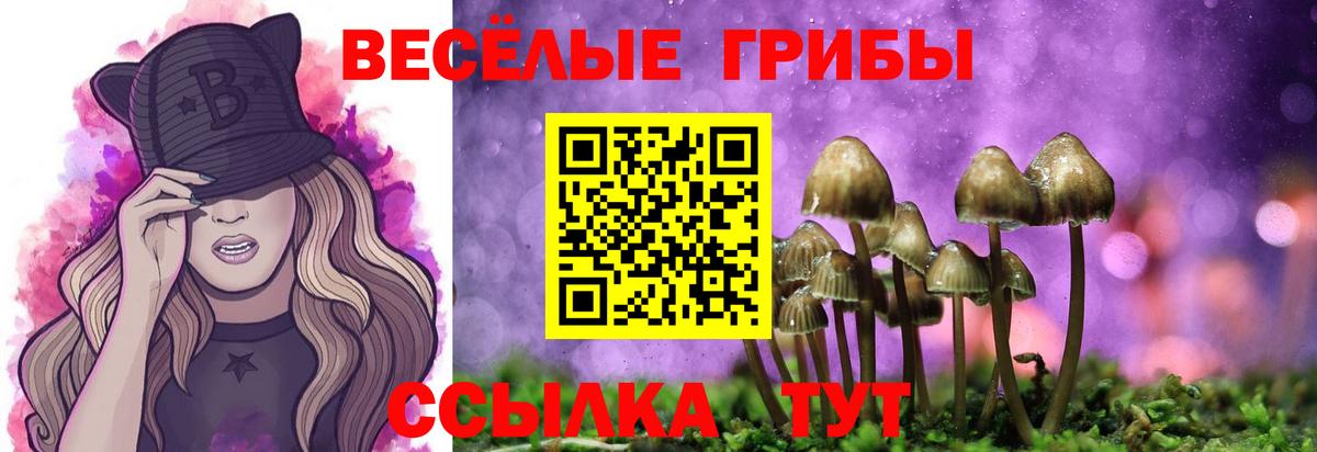 Галлюциногенные грибы мухоморы  Вход с VPN  Амурск 